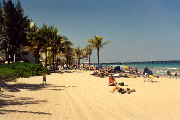 Beach (north view)